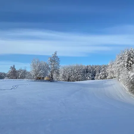 Σπίτι διακοπών Karula - Sauna House At Karula National Park Ahijarve