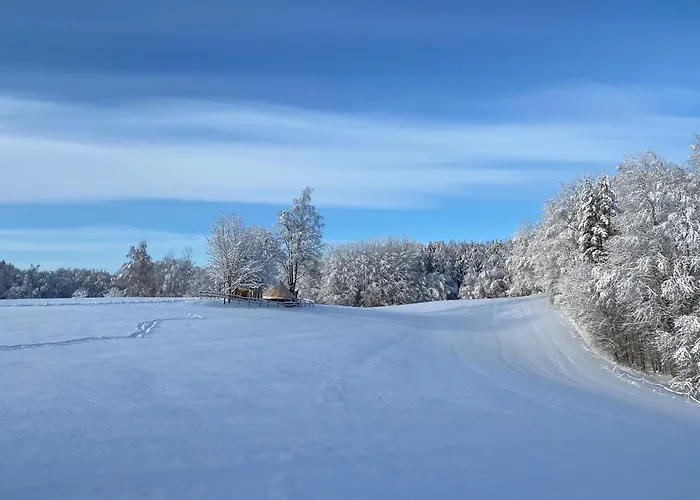 Σπίτι διακοπών Karula - Sauna House At Karula National Park Ahijarve